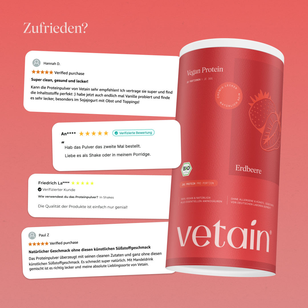 Vetain Protein Fragola Vegane Bio 540 g Proteine in Polvere