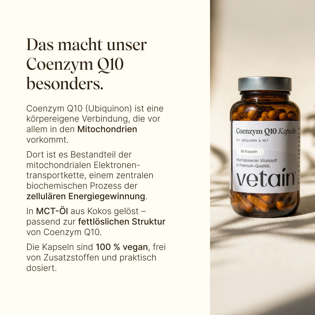 Vetain Coenzima Q10 Capsule 60 capsule 200 mg
