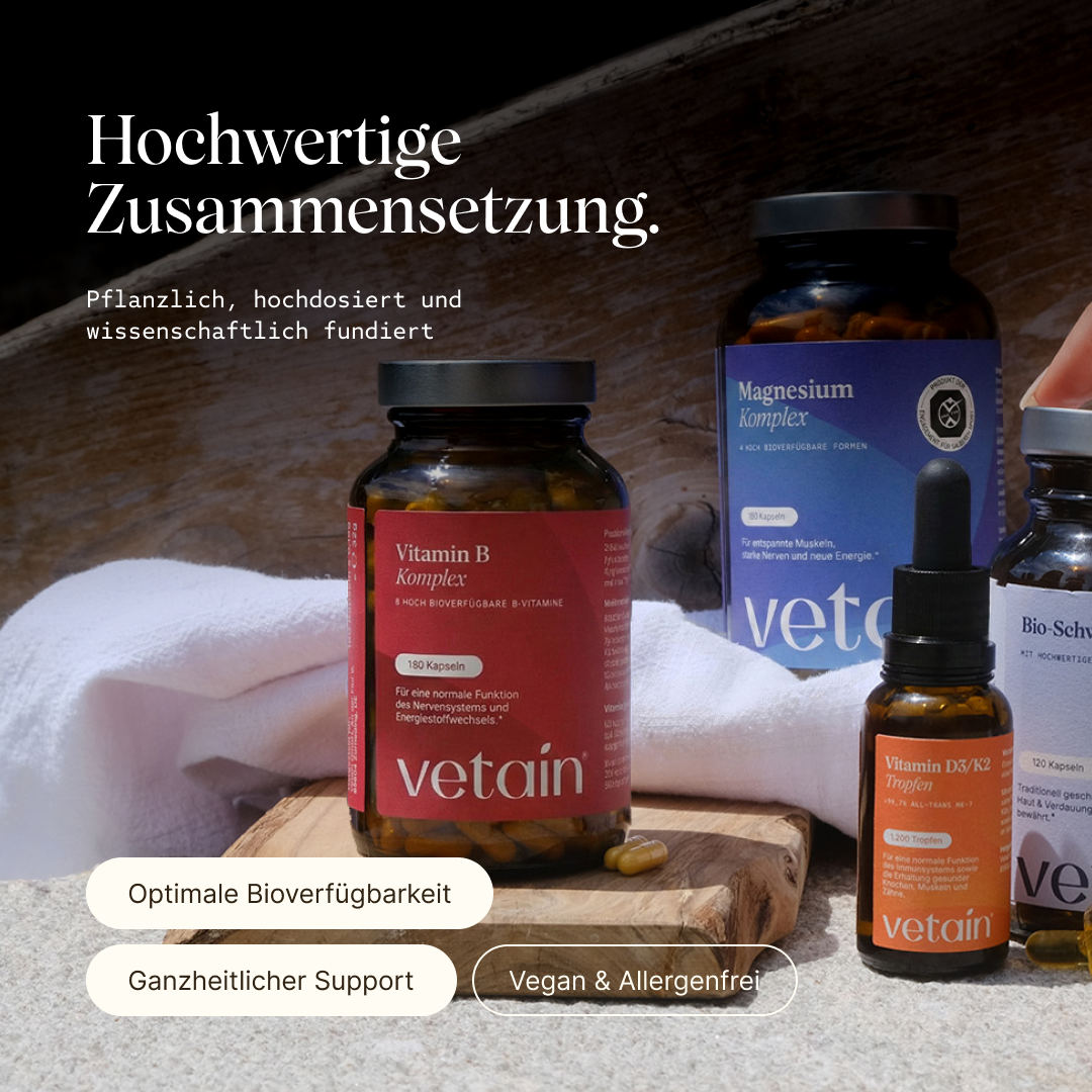 Vetain Bundles Vital Bundle magnesio + vitamina B eBook
