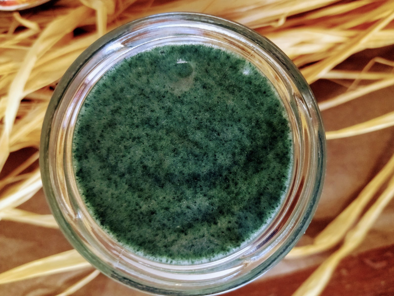 Spiruline de Brocéliande Miele Primavera Spirulina Vasetto 250 g