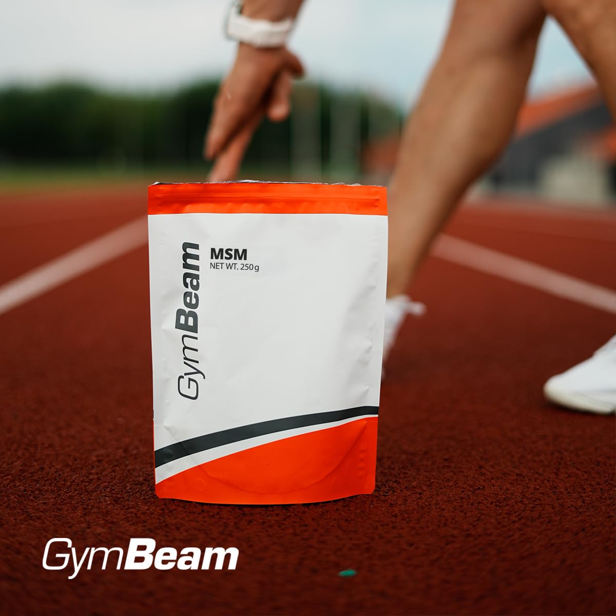 GymBeam Articolazioni MSM Integratore Polvere 500 g Vegano