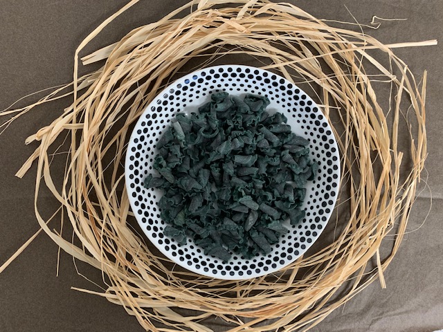 Spiruline de Brocéliande Pasta Gigli Spirulina 500 g