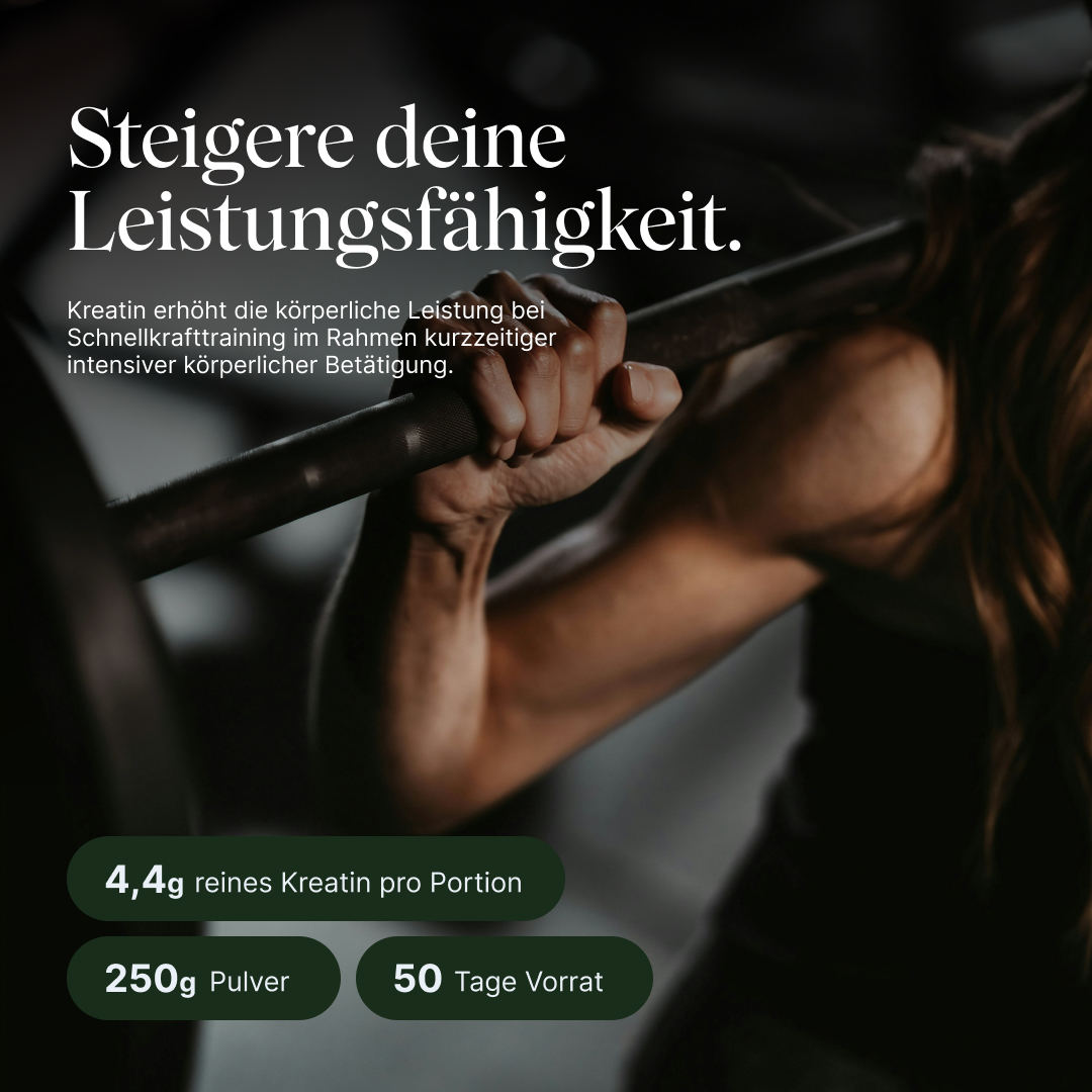 Vetain Performance Bundle Integratori Palestra con Shaker