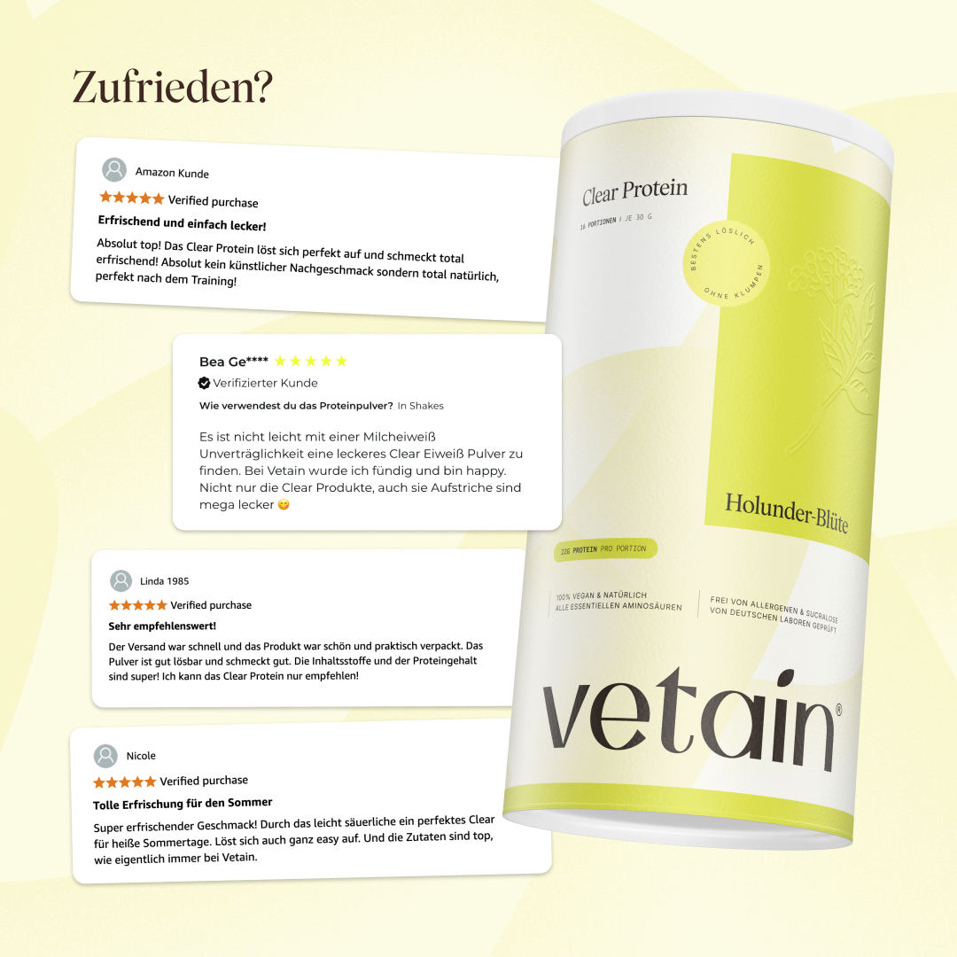 Vetain Clear Protein Vegane Sambuco 480g Recupero