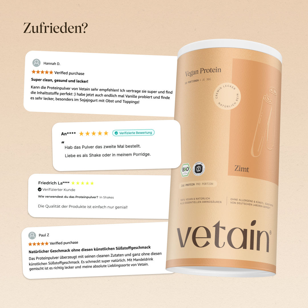 Vetain Veganes Proteinpulver proteine cannella 540g BIO