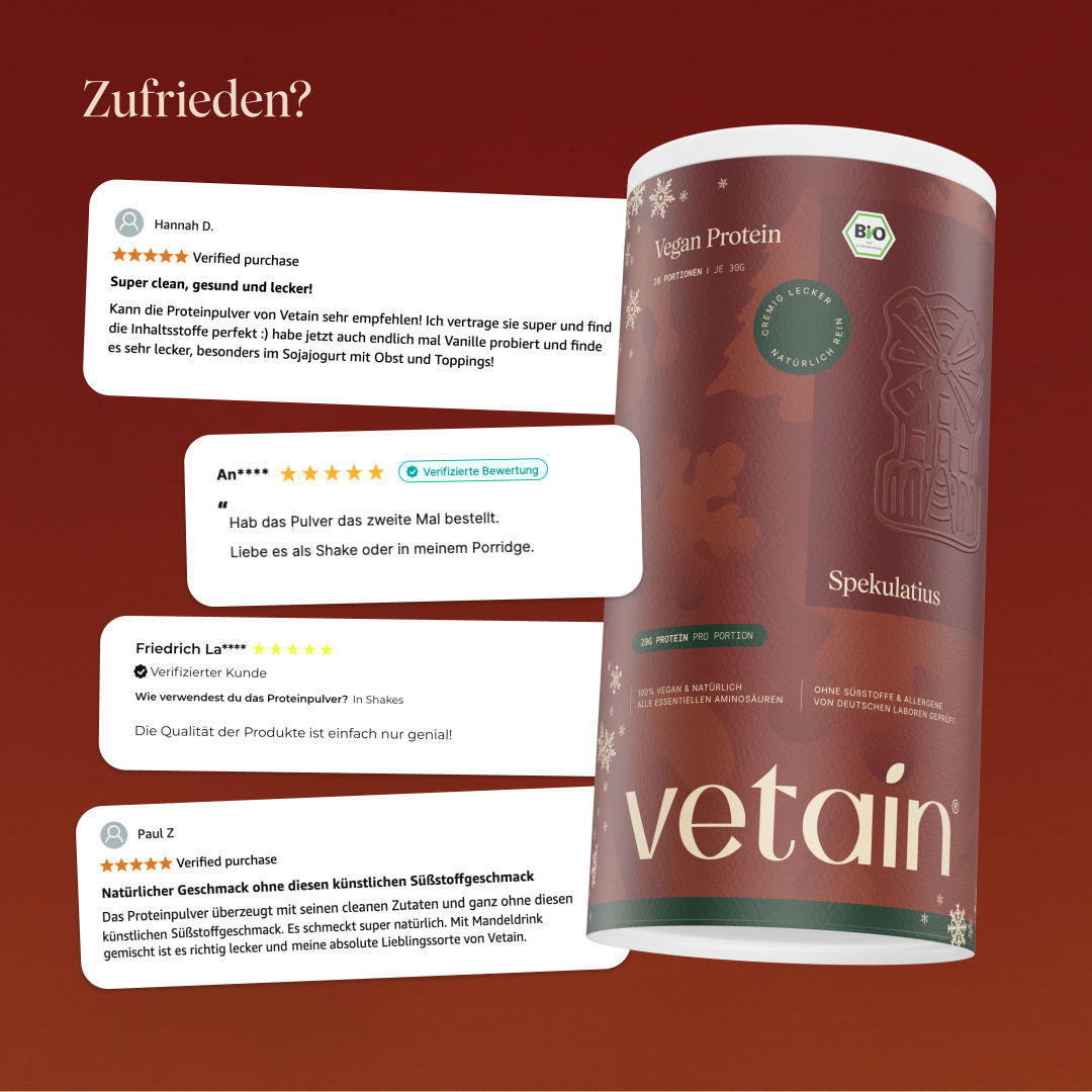 Vetain Spekulatius proteine vegane 540g BIO