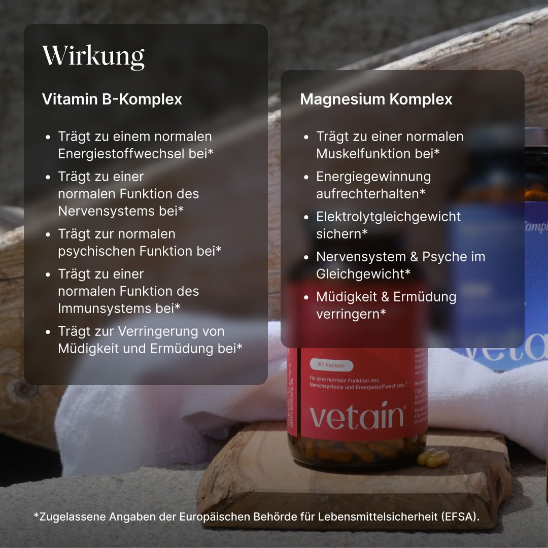 Vetain Bundles Vital Bundle magnesio + vitamina B eBook