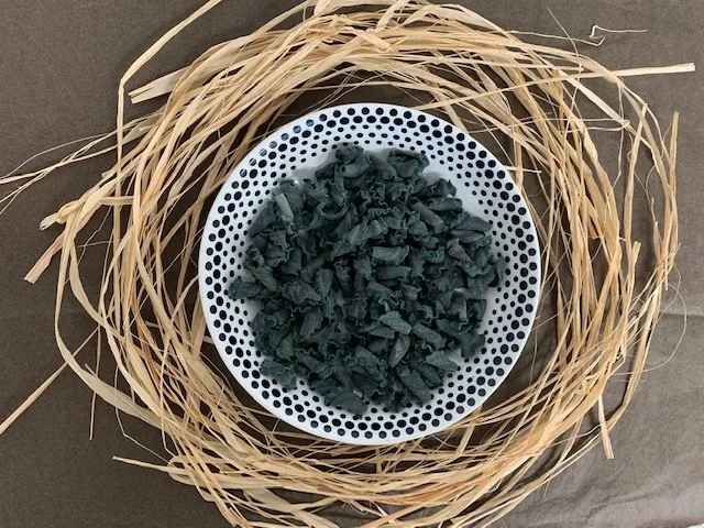 Spiruline de Brocéliande Pasta Gigli Spirulina 500 g