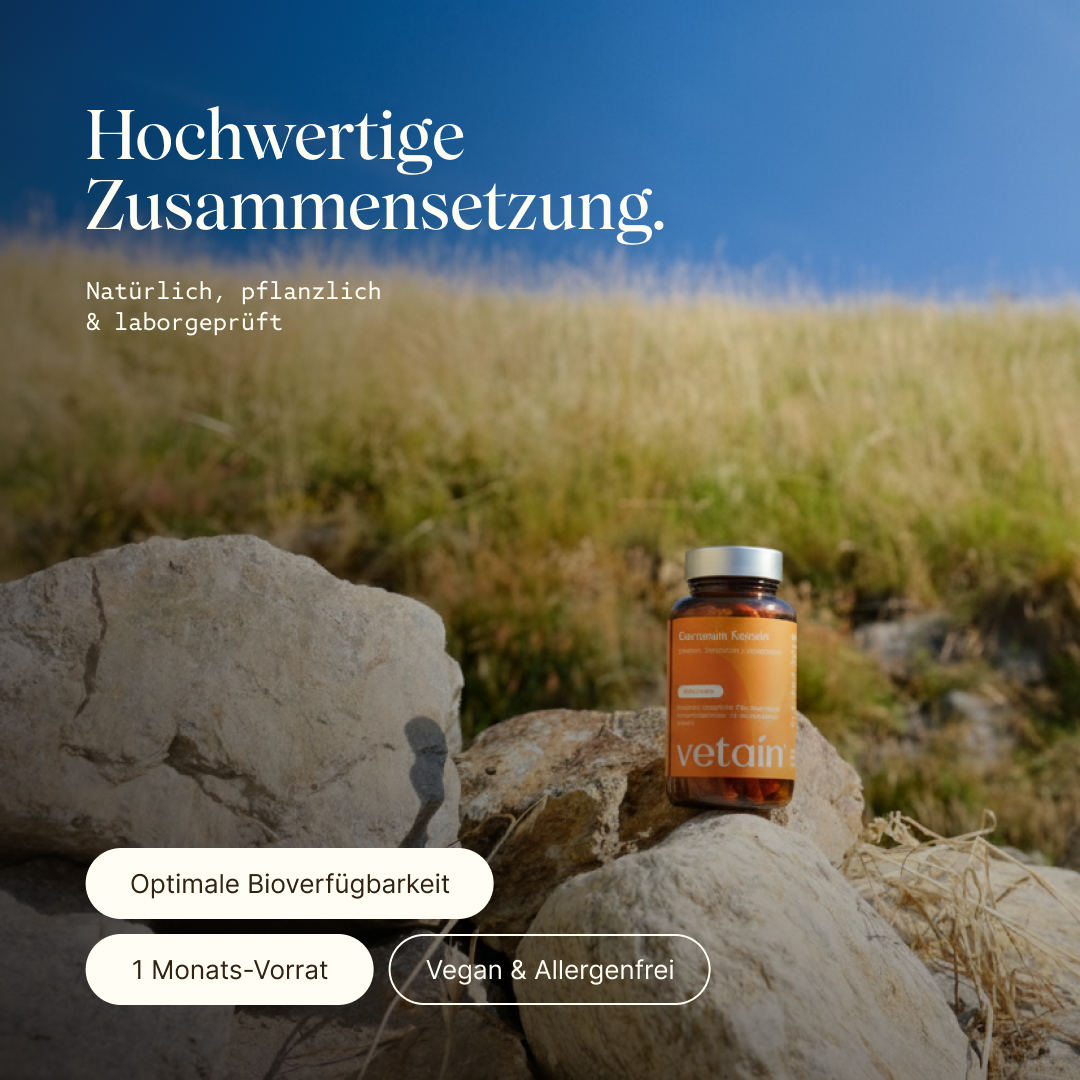 Vetain Curcuma Curcumina capsule 60pz antiossidante