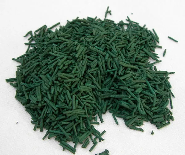 Spiruline de Brocéliande Spiruline Sfusa 1 kg Fiocchi Integratore