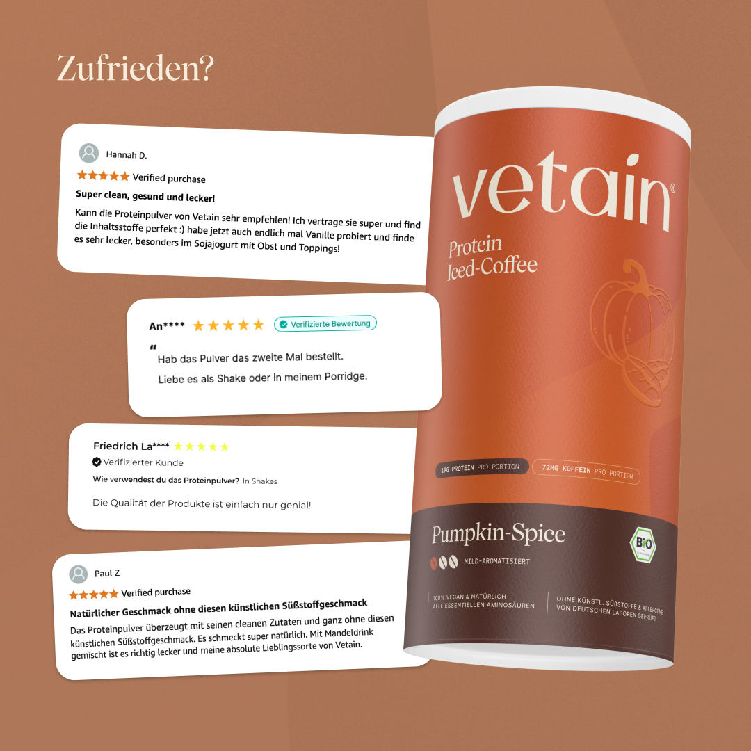Vetain Vegan Protein Iced-Coffee proteine vegane 540g Pumpkin