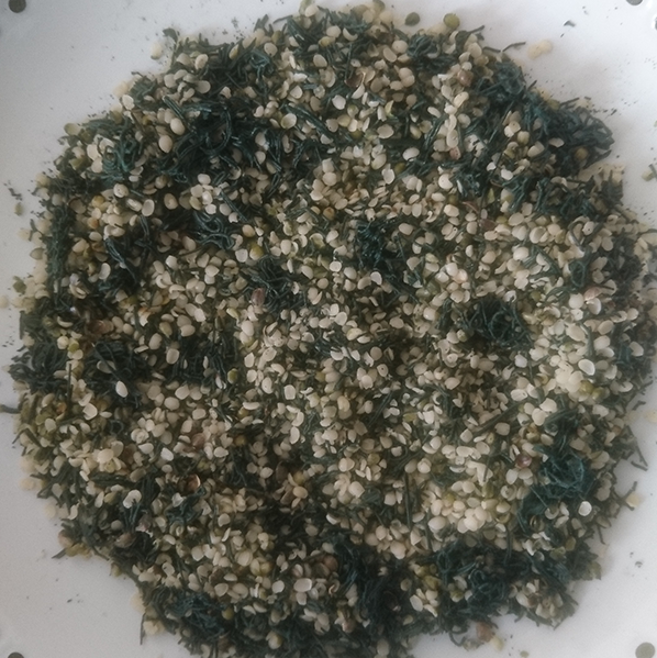 Spiruline de Brocéliande Spirulina Semi Canapa 100 g
