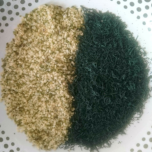 Spiruline de Brocéliande Spirulina Semi Canapa 100 g