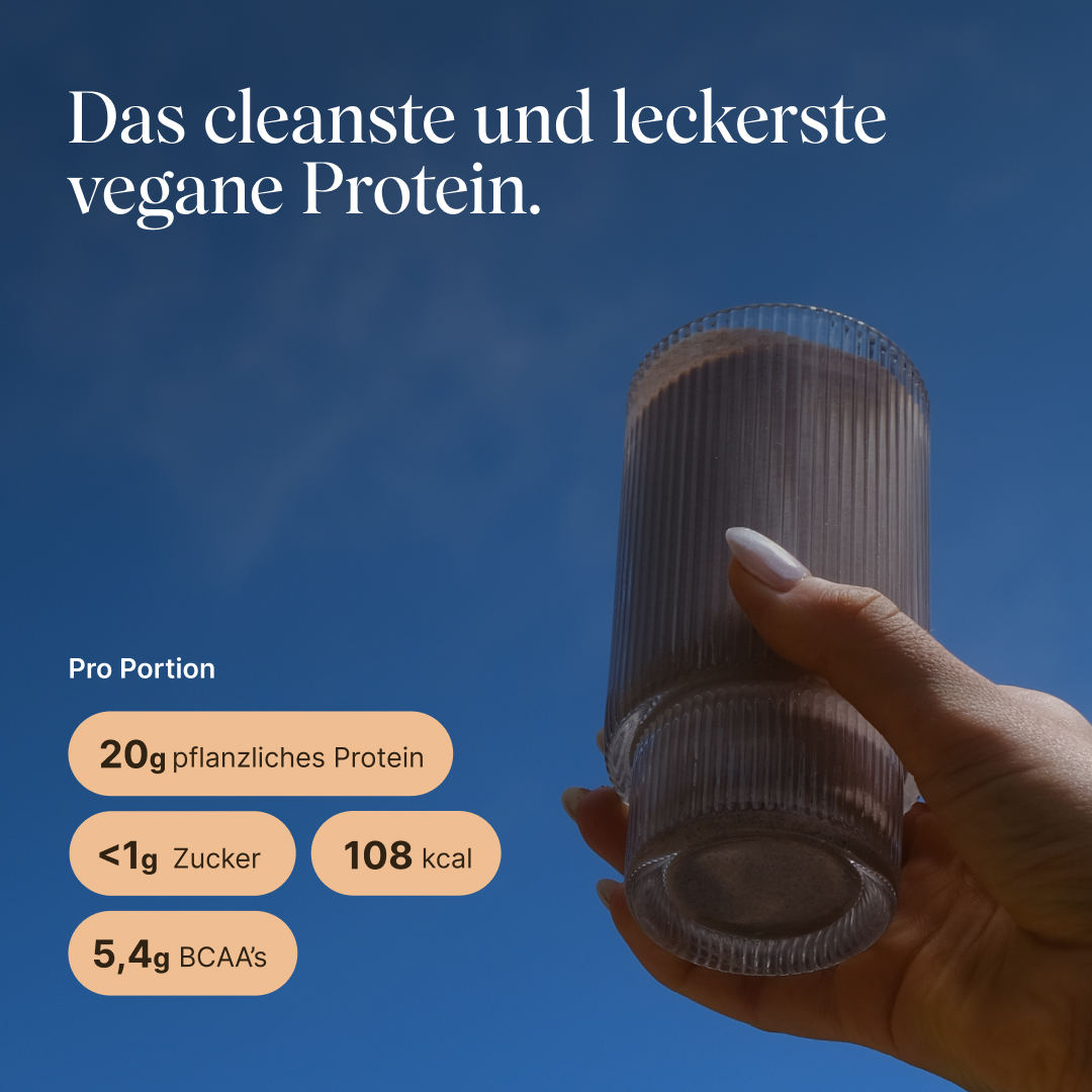 Vetain Vegan Protein proteine vegane nocciola 540g bio