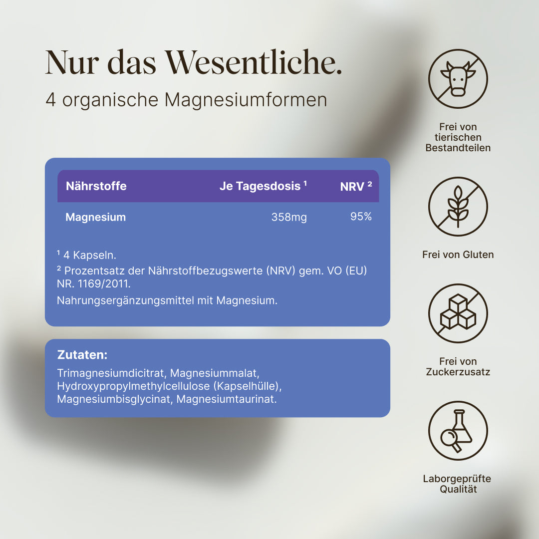 Vetain Bundles Vital Bundle magnesio + vitamina B eBook