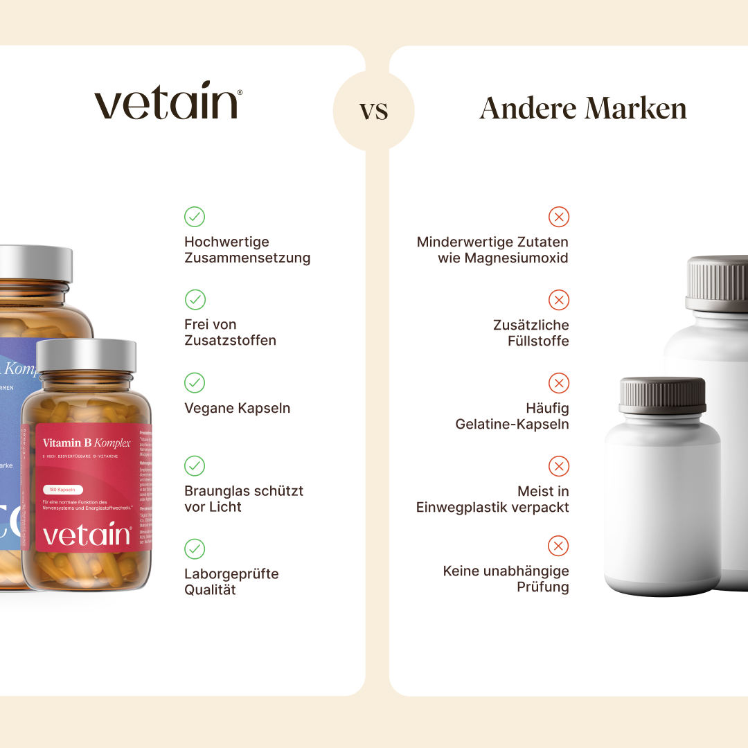 Vetain Bundles Vital Bundle magnesio + vitamina B eBook