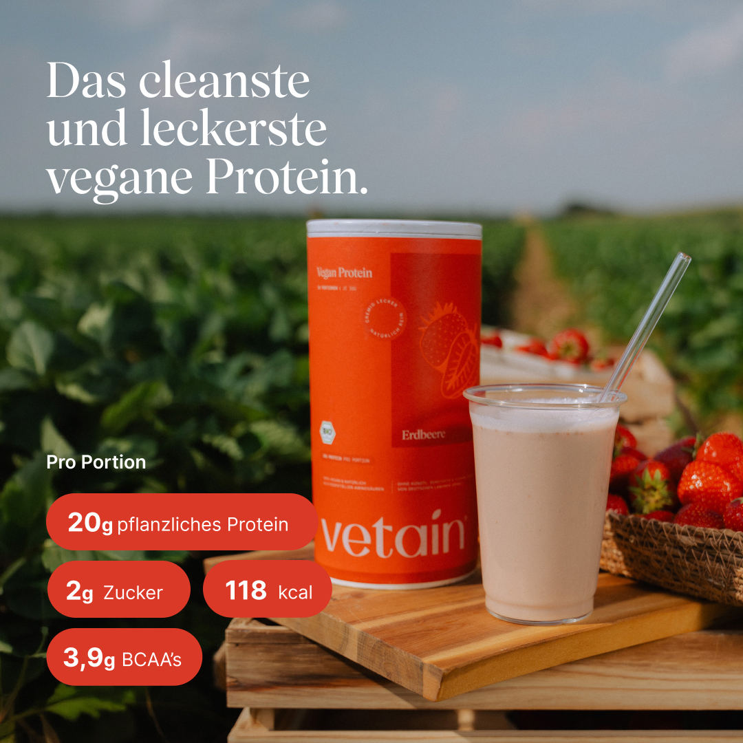 Vetain Vegan Protein Fragola proteine in polvere 540g BIO