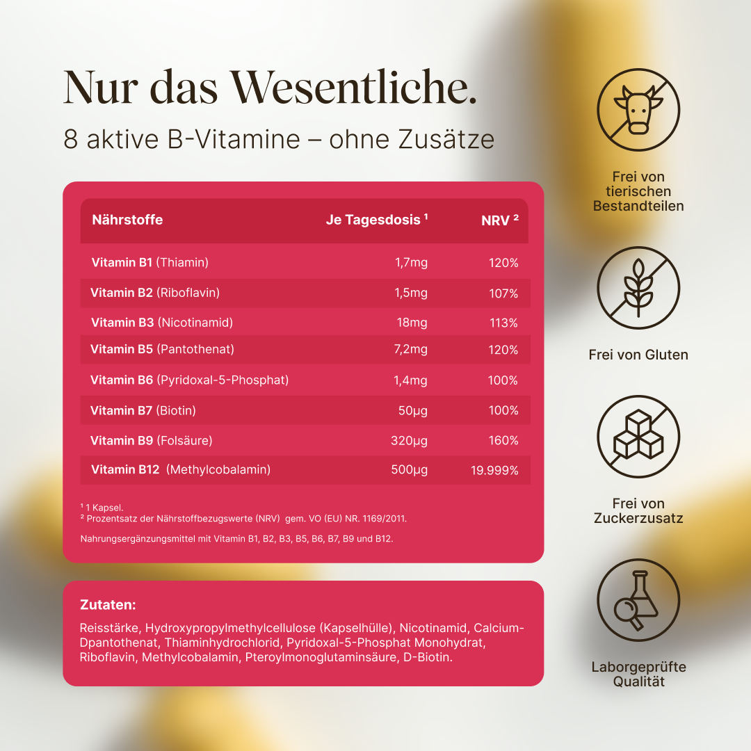 Vetain Bundles Vital Bundle magnesio + vitamina B eBook