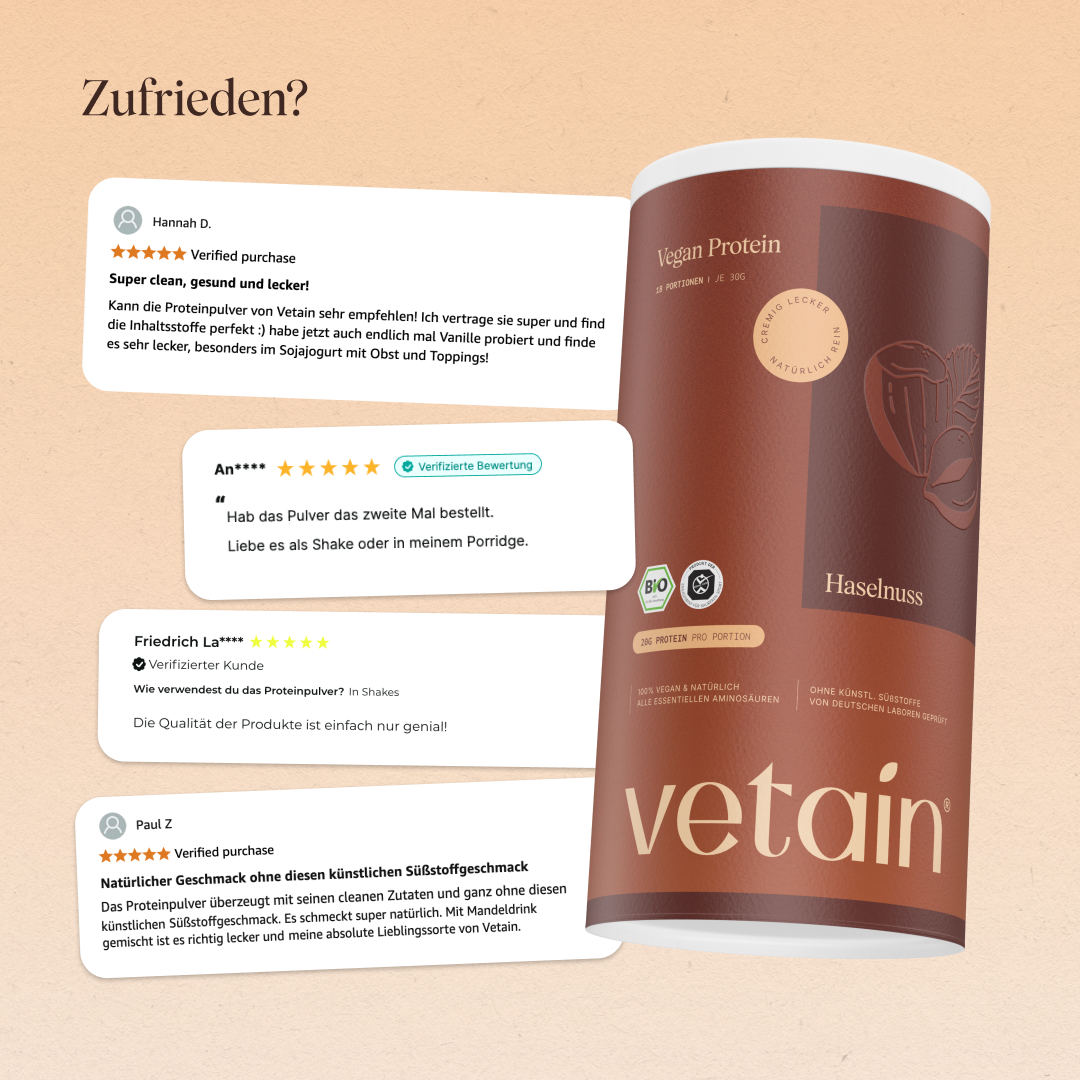 Vetain Vegan Protein proteine vegane nocciola 540g bio