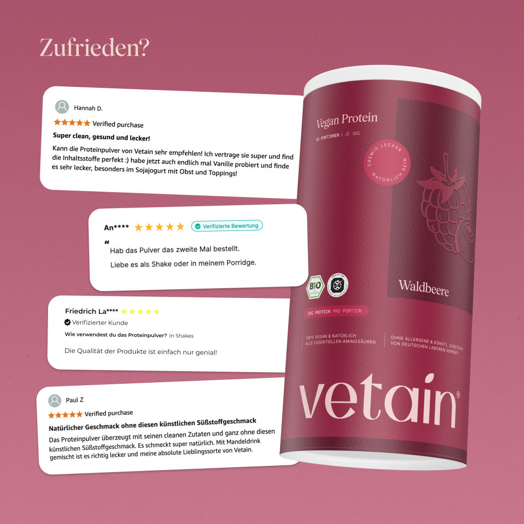Vetain Veganes Proteinpulver Beere proteine 540 g bio